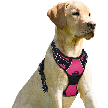 PupPax™ No Pull Dog Harness